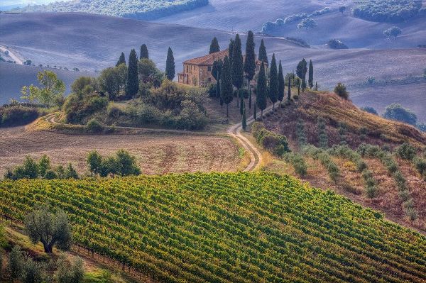 Eggers, Julie 아티스트의 Italy-Tuscany Belvedere House-Olive trees-and vineyards near San Quirico dOrcia작품입니다.